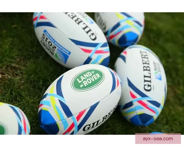 九州体育世界杯全球赛事趋势解析与球迷互动体验全景指南深度推荐