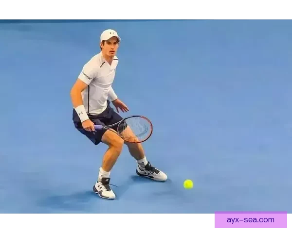 以托辛：全力以赴争取晋级决赛 力求用一座奖杯完美收官本赛季